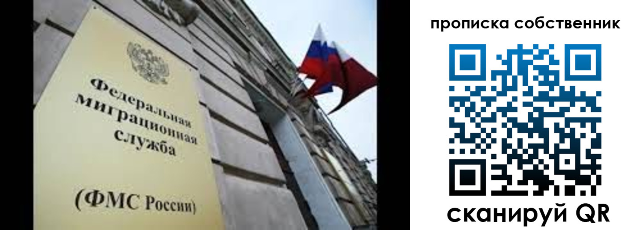 прописка гарантия в Брянске